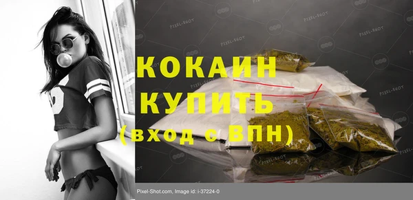 ECSTASY Богородицк