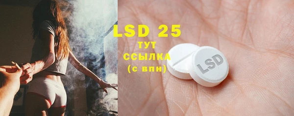 первитин Богданович