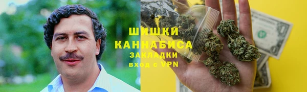 индика Бородино