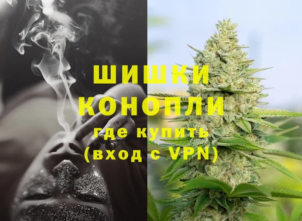ECSTASY Богородицк