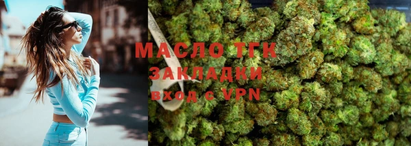 ECSTASY Богородицк