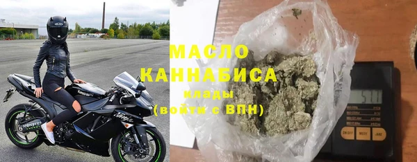 индика Бронницы