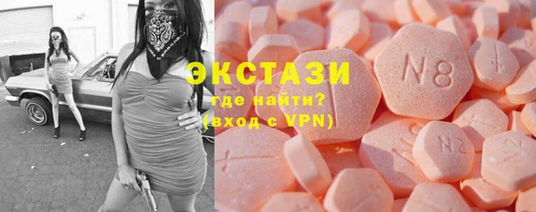 ECSTASY Богородицк