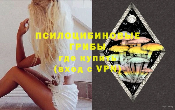 первитин Богданович
