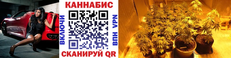 Каннабис ГИДРОПОН  Бородино 